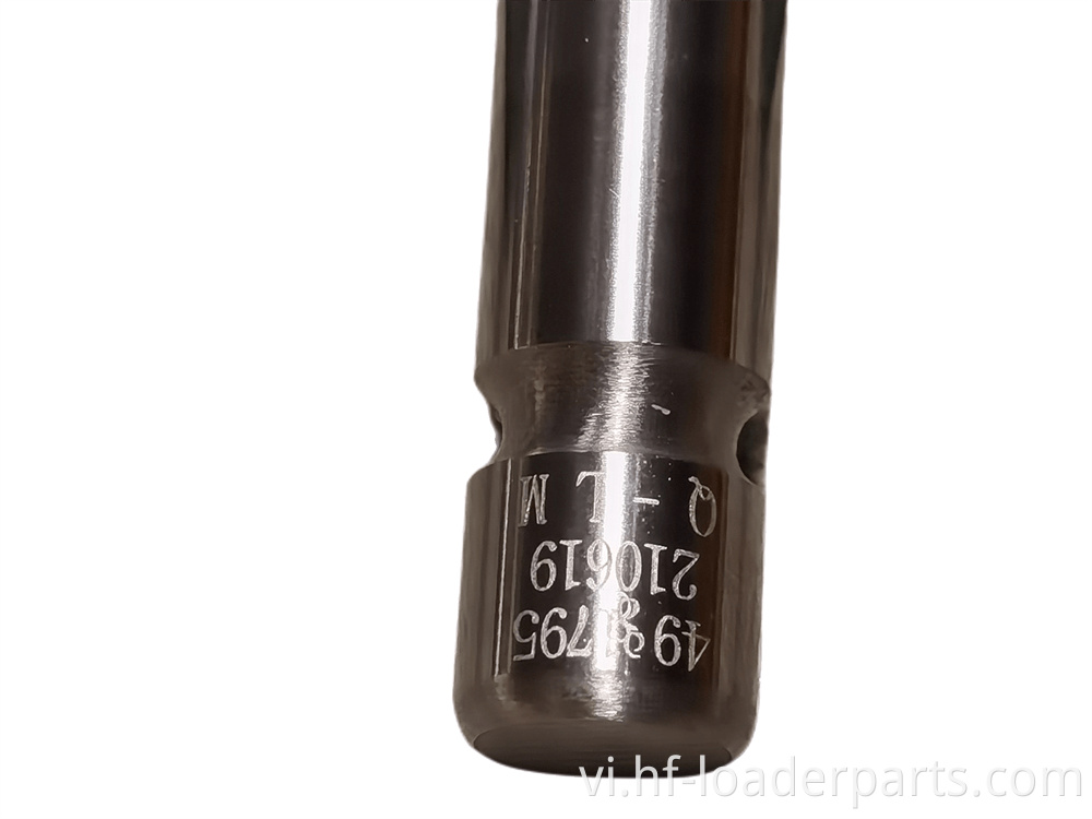 IMG 20220616 105716 Img 20220616 105716